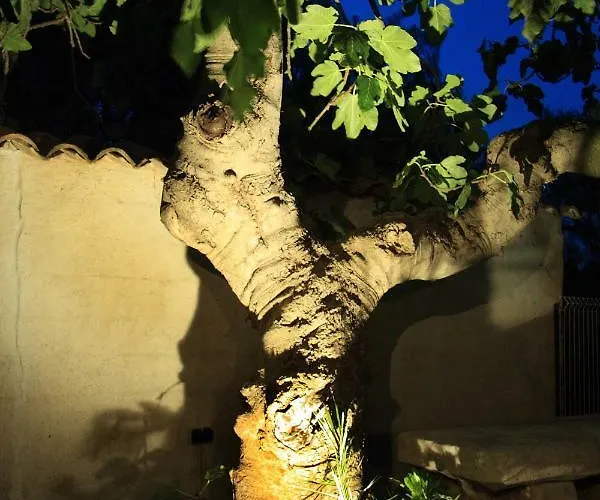 Apartment Les Bastidieres - Cap Brun *