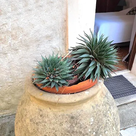 Apartamento Les Bastidieres - Cap Brun