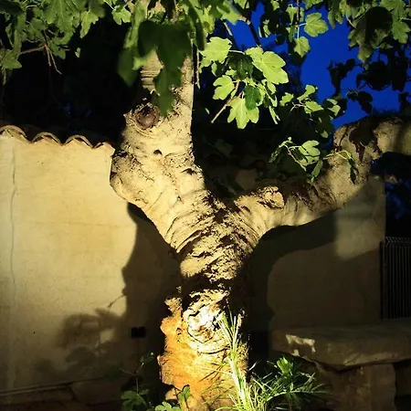 Apartment Les Bastidieres - Cap Brun *